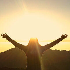 About Bloom Healing Bloom Healing Arts The Body Code
